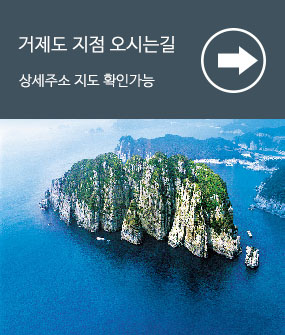 제품 더보기